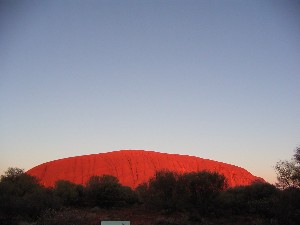 朝だー